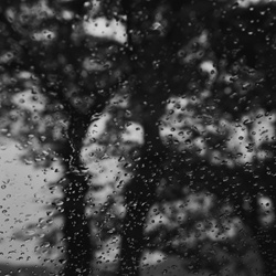 dailyPhoto12
